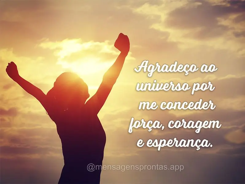 Agradeço ao universo por me conceder força, coragem e esperança.