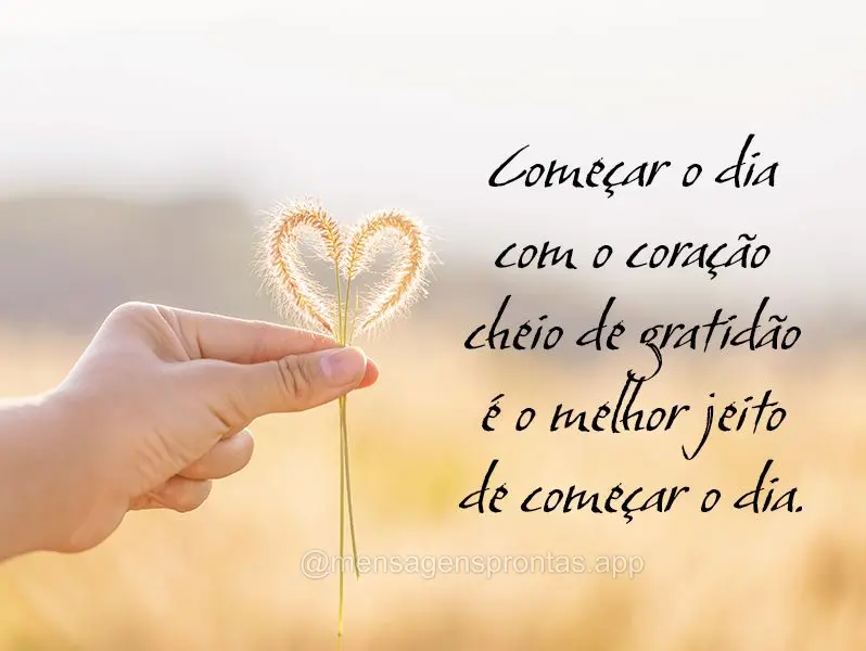 Começar o dia com o coração cheio de gratidão é o melhor jeito de começar o dia.