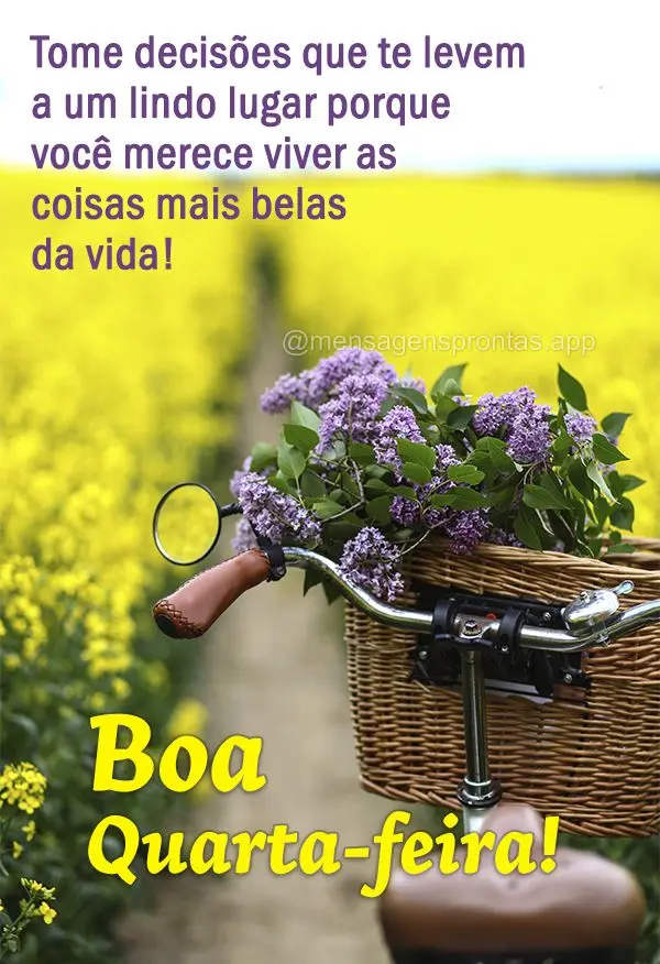 Tome decisões que te levem a um lindo lugar porque você merece viver as coisas mais belas da vida! Boa Quarta-feira! 