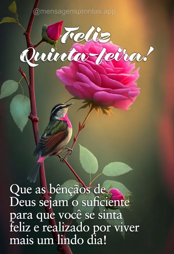 Que as bênçãos de Deus sejam o suficiente para que você se sinta feliz e realizado por viver mais um lindo dia! Feliz Quinta-feira! 