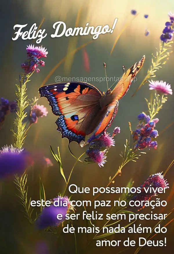 Que possamos viver este dia com paz no coração e ser feliz sem precisar de mais nada além do amor de Deus! Feliz Domingo! 