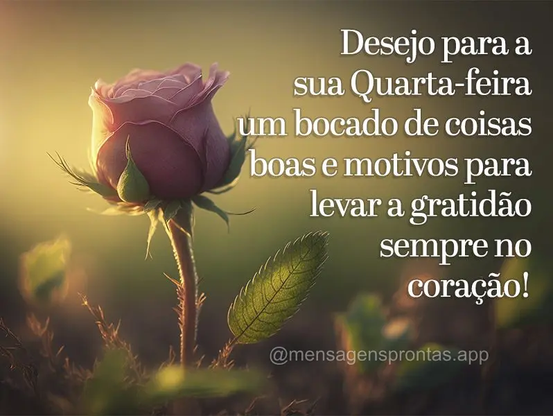 Desejo para a sua Quarta-feira um bocado de coisas boas e motivos para levar a gratidão sempre no coração!