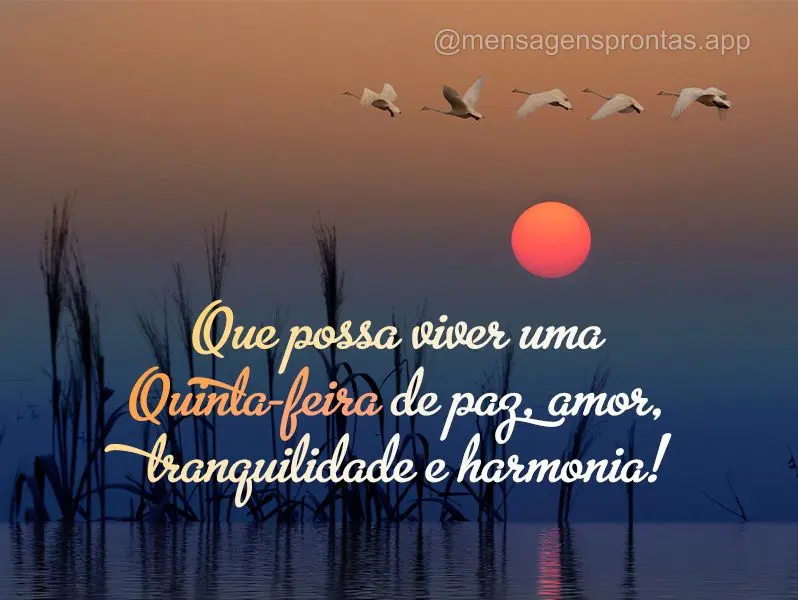 Que possa viver uma Quinta-feira de paz, amor, tranquilidade e harmonia!