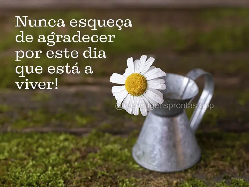 Nunca esqueça de agradecer por este dia que está a viver!