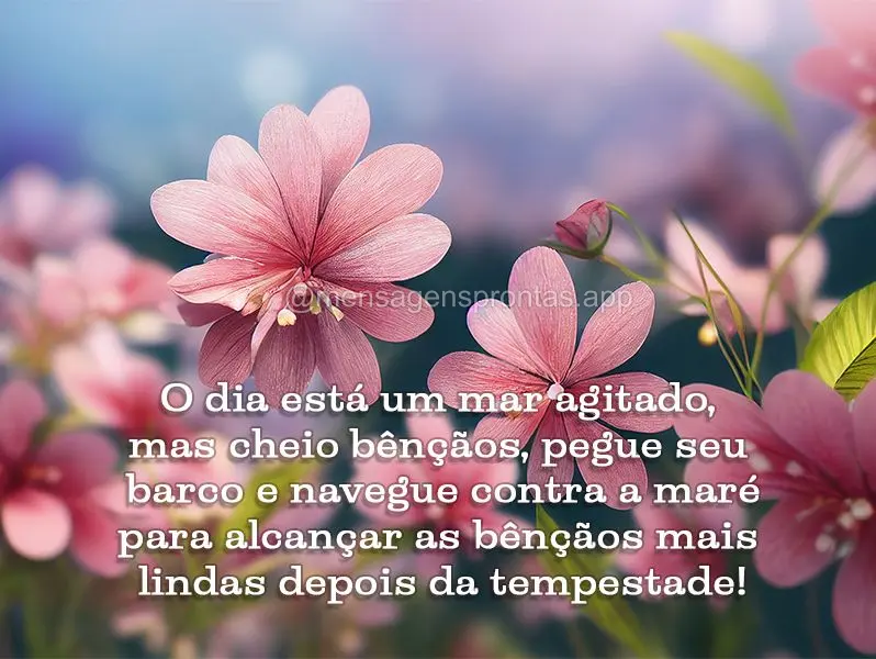 O dia está um mar agitado, mas cheio bênçãos, pegue seu barco e navegue contra a maré para alcançar as bênçãos mais lindas depois da tempestade!...