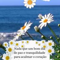 Nada que um bom dia de paz e tranquilidade para acalmar o coração e viver a vida de um jeito mais leve e de bem com a vida! Bom dia!