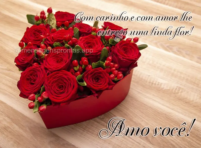 Com carinho e com amor lhe entrego uma linda flor! Amo você!