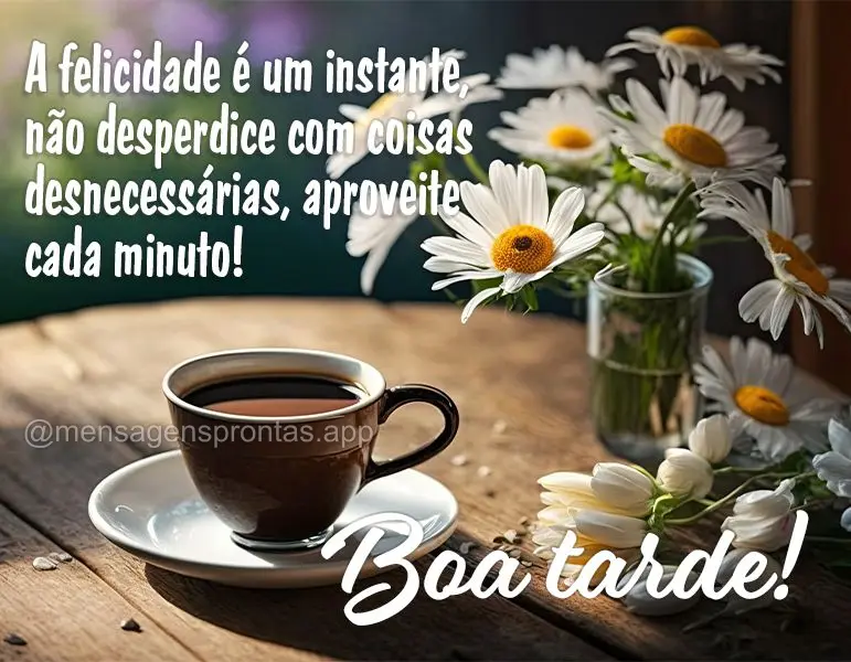 A felicidade é um instante, não desperdice com coisas desnecessárias, aproveite cada minuto! Boa tarde!