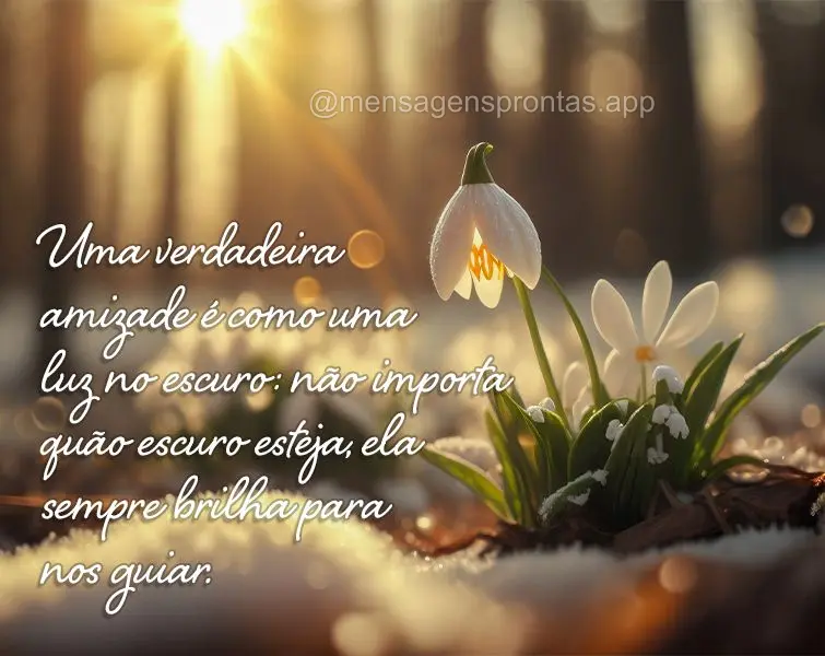 Uma verdadeira amizade é como uma luz no escuro: não importa quão escuro esteja, ela sempre brilha para nos guiar.