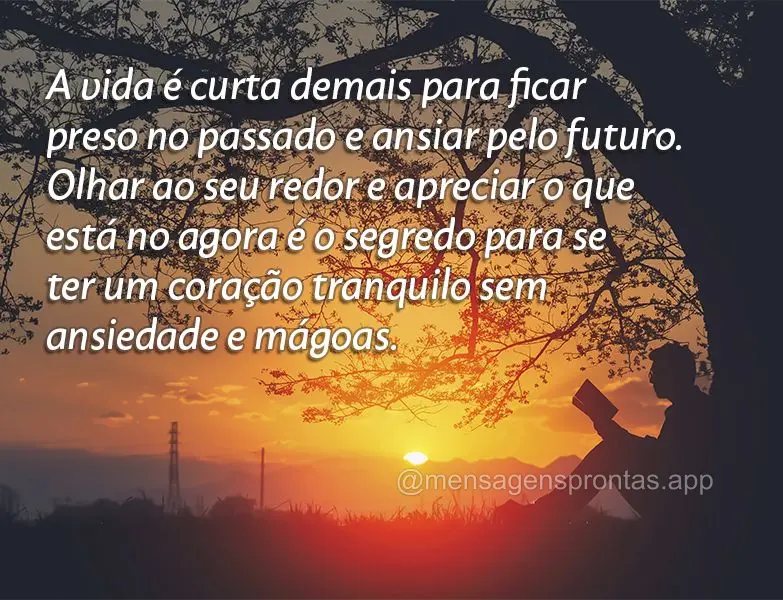 A vida é curta demais para ficar preso no passado e ansiar pelo futuro. Olhar ao seu redor e apreciar o que está no agora é o segredo para se ter um c...