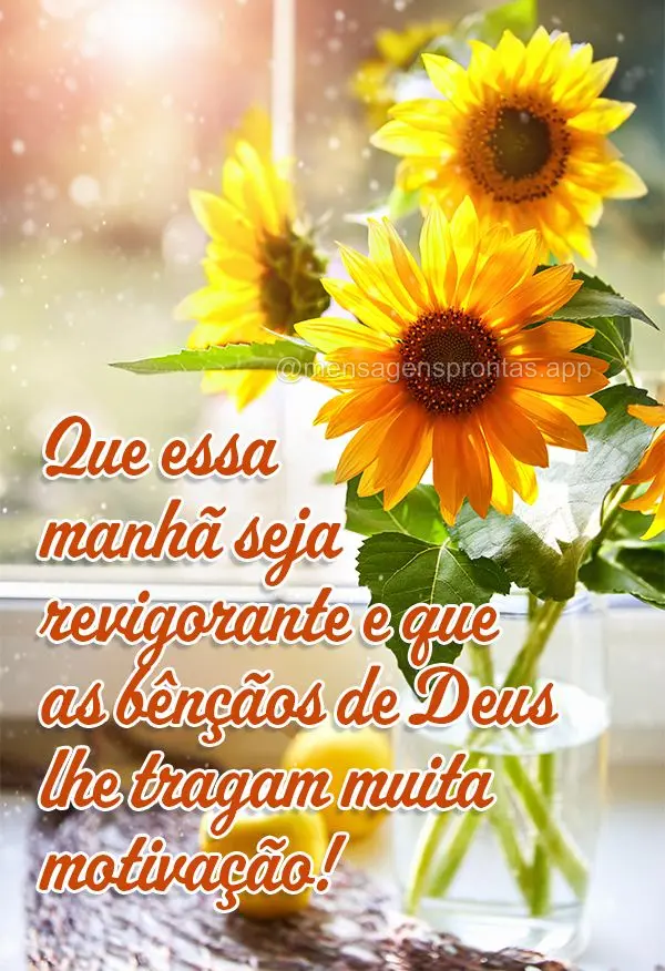 Que essa manhã seja revigorante e que as bênçãos de Deus lhe tragam muita motivação!