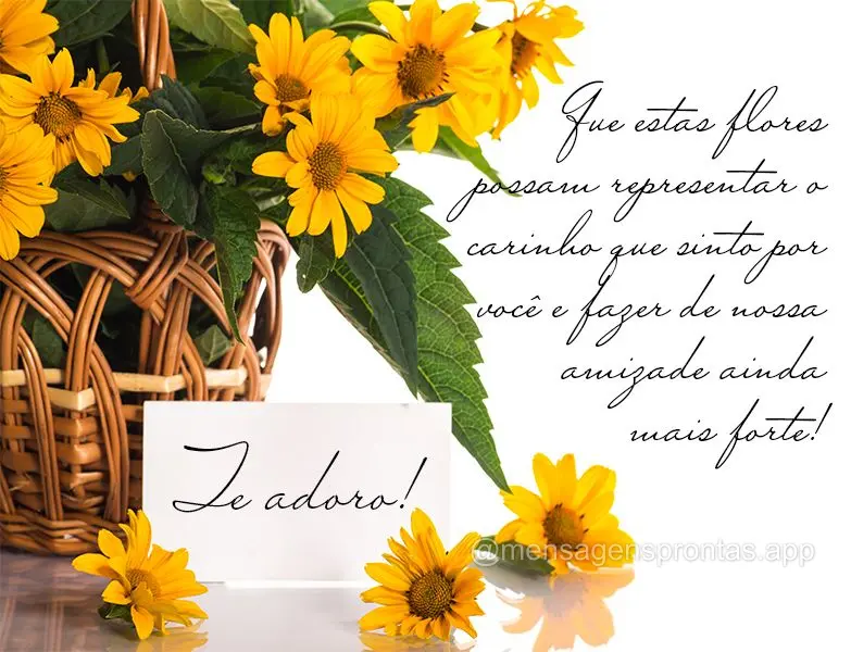 Que estas flores possam representar o carinho que sinto por você e fazer de nossa amizade ainda mais forte! Te adoro!