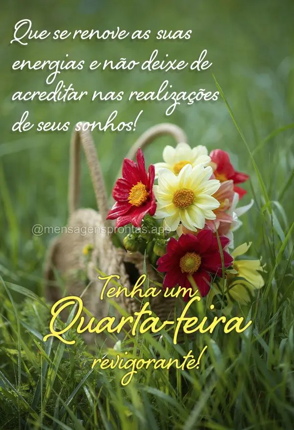 Que se renove as suas energias e não deixe de acreditar nas realizações de seus sonhos! Tenha um Quarta-feira revigorante!