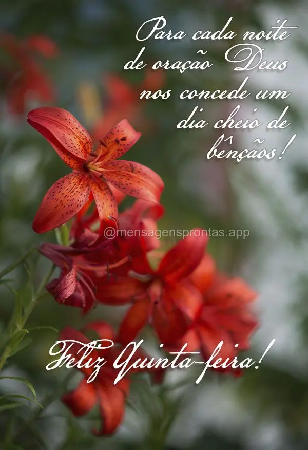 Para cada noite de oração Deus nos concede um dia cheio de bênçãos! Feliz Quinta-feira!