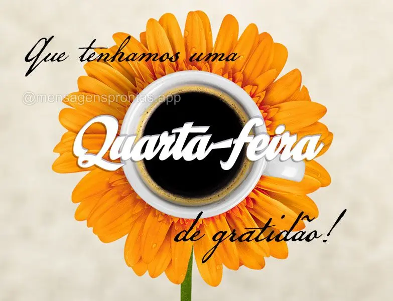 Que tenhamos uma Quarta-feira de gratidão!