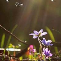 Que seja um dia tranquilo e que a paz do Senhor esteja com você! Bom dia!