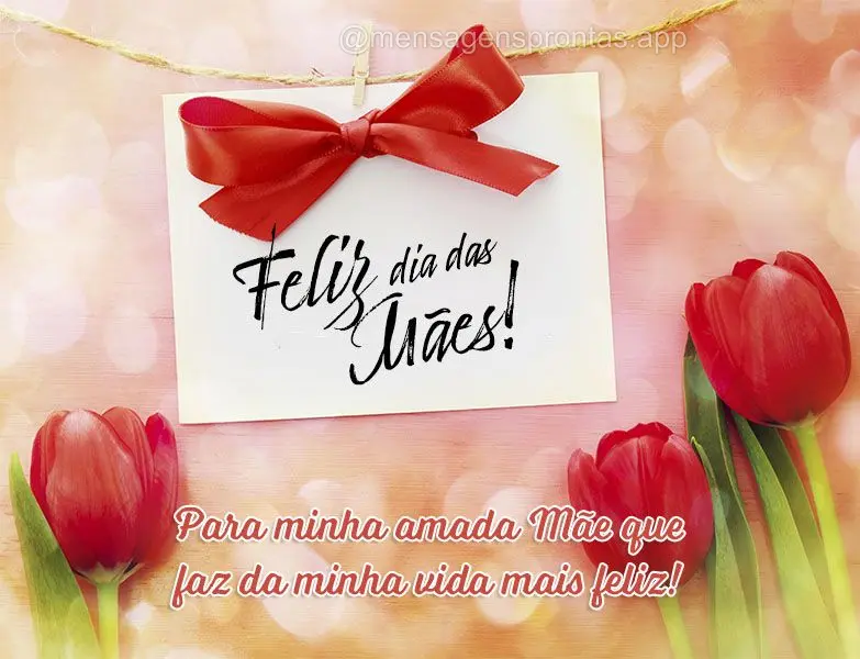 Para minha amada Mãe que faz da minha vida mais feliz! Feliz dia das Mães!