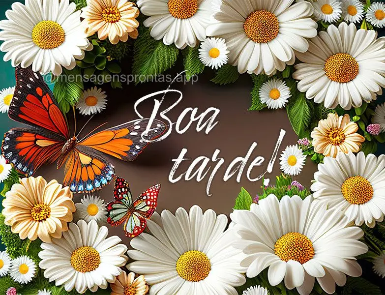 Boa tarde!