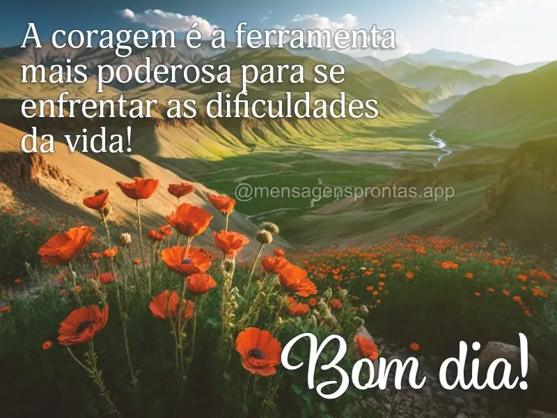 A coragem é a ferramenta mais poderosa para se enfrentar as dificuldades da vida! Bom dia!