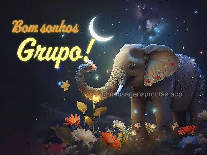 Bom sonhos Grupo!