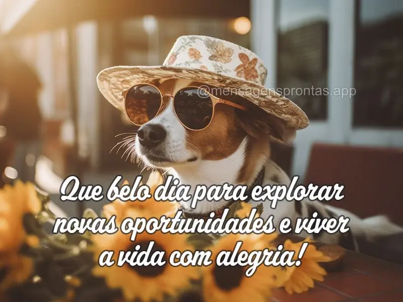 Que belo dia para explorar novas oportunidades e viver a vida com alegria!