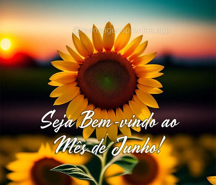 Sem Bem-vindo ao Mês de Junho!