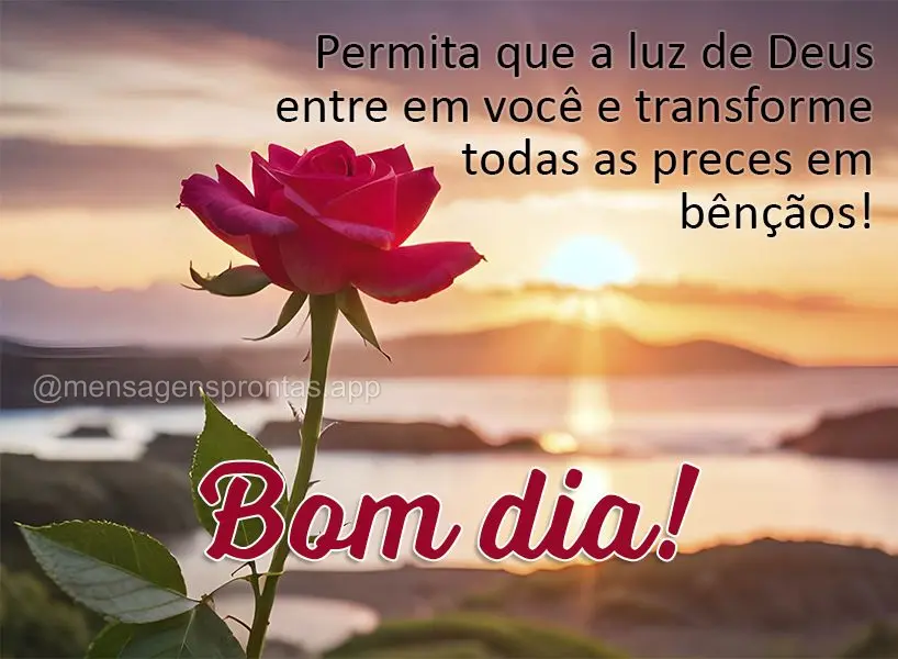 Permita que a luz entre em você e transforme todas as preces em bênçãos! Bom dia!