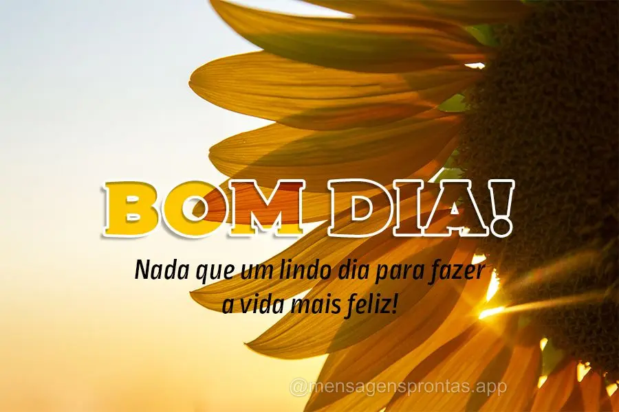 Nada que um lindo dia para fazer a vida mais feliz! Bom dia!