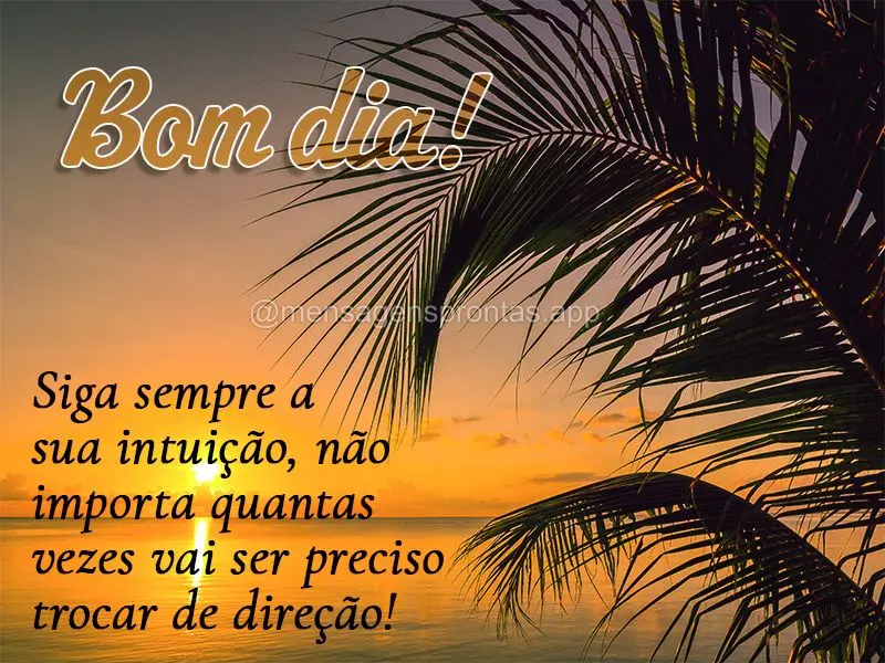 Siga sempre a sua intuição, não importa quantas vezes vai ser preciso trocar de direção! Bom dia!