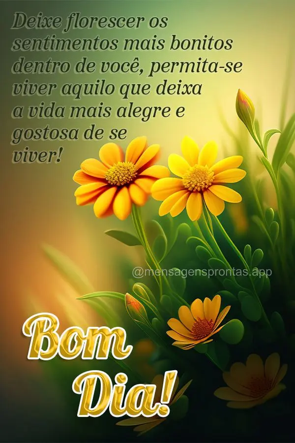 Deixe florescer os sentimentos mais bonitos dentro de você, permita-se viver aquilo que deixa a vida mais alegre e gostosa de se viver! Bom dia!