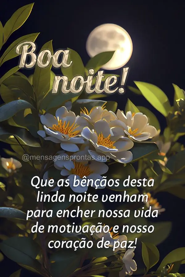 Que as bênçãos desta linda noite venham para encher nossa vida de motivação e nosso coração de paz! Boa noite!