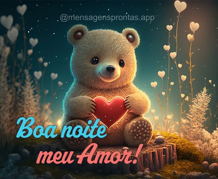 Boa noite meu amor!