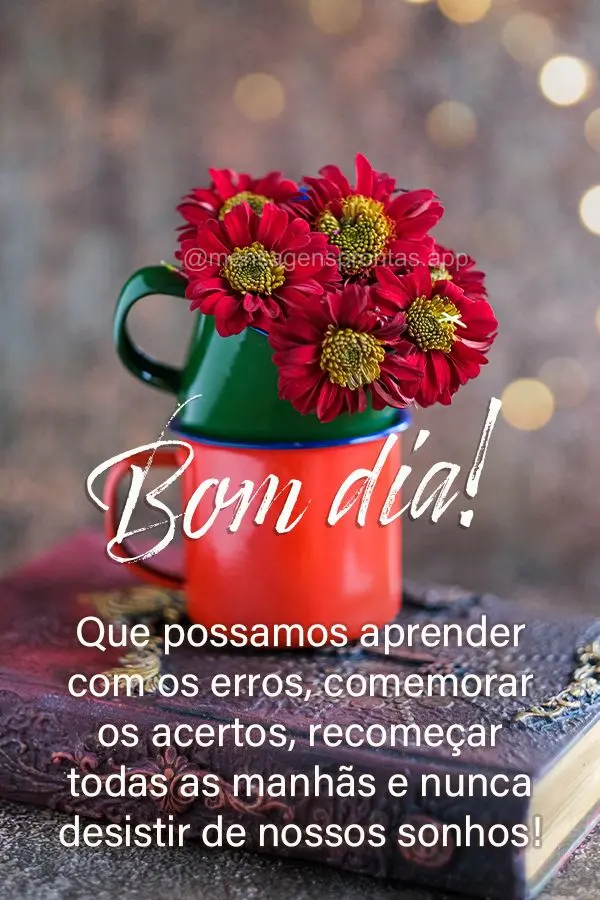 Que possamos aprender com os erros, comemorar os acertos, recomeçar todas as manhãs e nunca desistir de nossos sonhos! Bom dia!