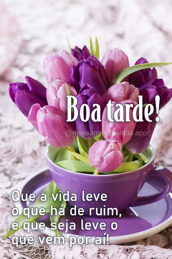 Que a vida leve o que há de ruim, e que seja leve o que vem por aí! Boa tarde!