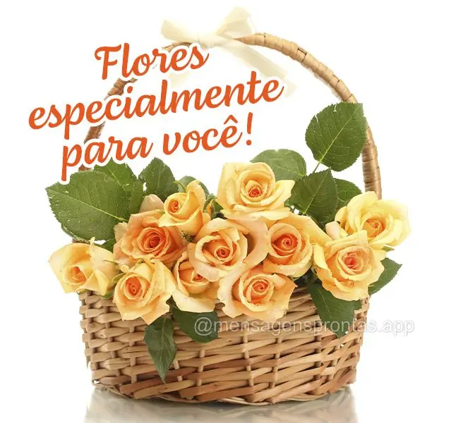 Flores especialmente para você!