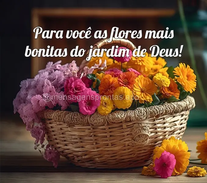 Para você as flores mais bonitas do jardim de Deus!