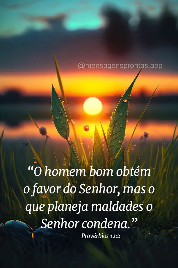 O homem bom obtém o favor do Senhor, mas o que planeja maldades o Senhor condena.  Provérbios 12:2