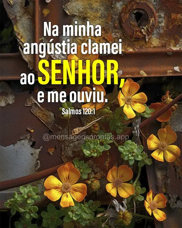 Na minha angústia clamei ao SENHOR, e me ouviu. Salmos 120:1