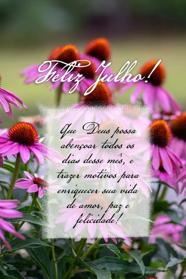 Que Deus possa abençoar todos os dias desse mês, e trazer motivos para enriquecer sua vida de amor, paz e felicidade! Feliz Julho!