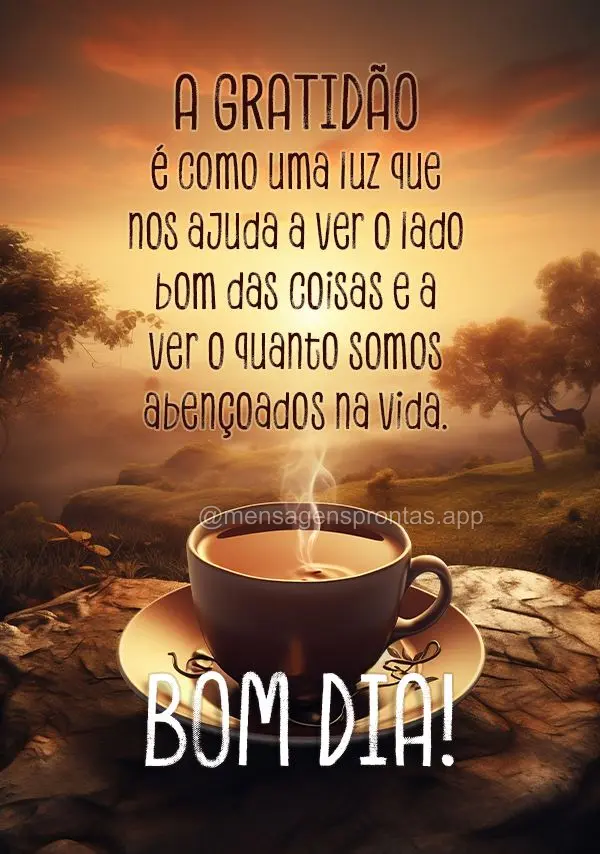 A gratidão é como uma luz que nos ajuda a ver o lado bom das coisas e a ver o quanto somos abençoados na vida. Bom dia!