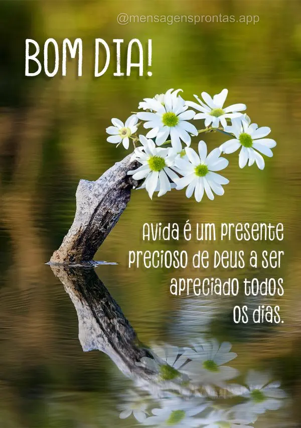 Avida é um presente precioso de Deus a ser apreciado todos os dias. Bom dia!