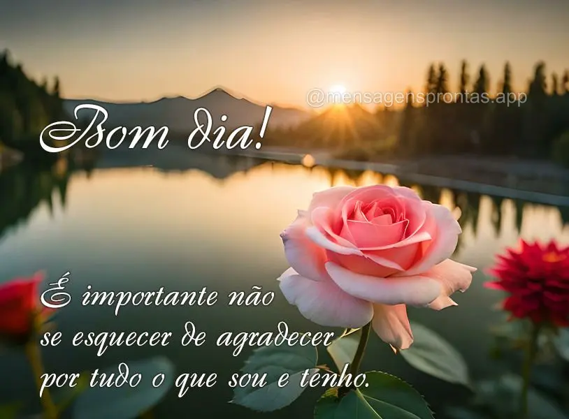 É importante não se esquecer de agradecer por tudo o que sou e tenho. Bom dia!