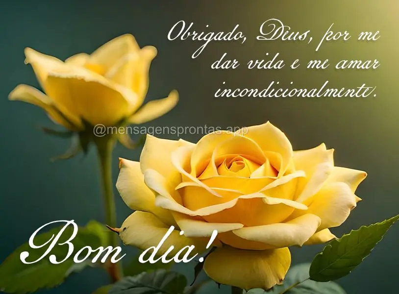 Obrigado, Deus, por me dar vida e me amar incondicionalmente. Bom dia!