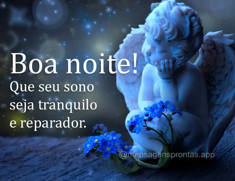 Que seu sono seja tranquilo e reparador. Boa noite!
