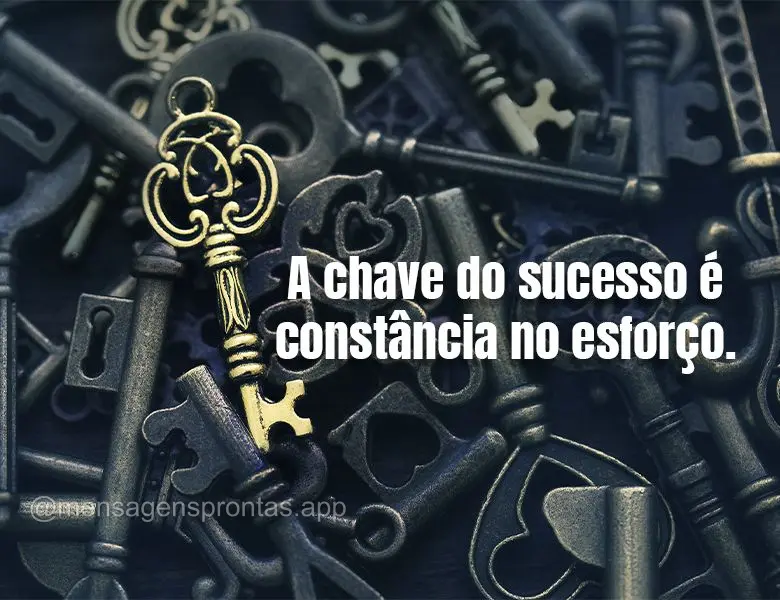 A chave do sucesso é constância no esforço.