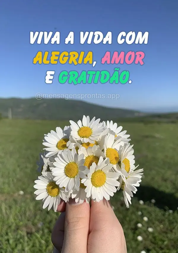 Viva a vida com alegria, amor e gratidão.