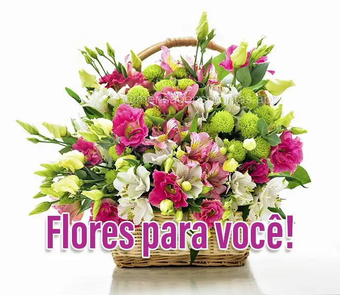 Flores para você!