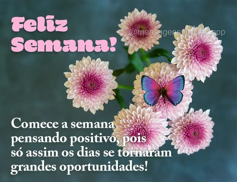 Comece a semana pensando positivo, pois só assim os dias se tornaram grandes oportunidades! Feliz Semana! 