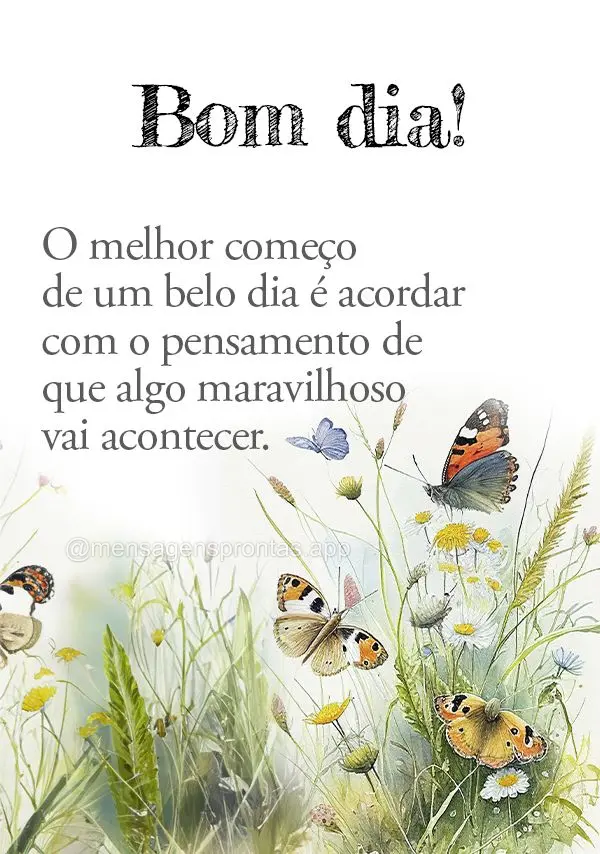 O melhor começo de um belo dia é acordar com o pensamento de que algo maravilhoso vai acontecer. Bom dia!