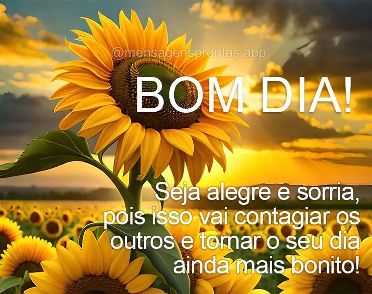 Seja alegre e sorria, pois isso vai contagiar os outros e tornar o seu dia ainda mais bonito! Bom dia!